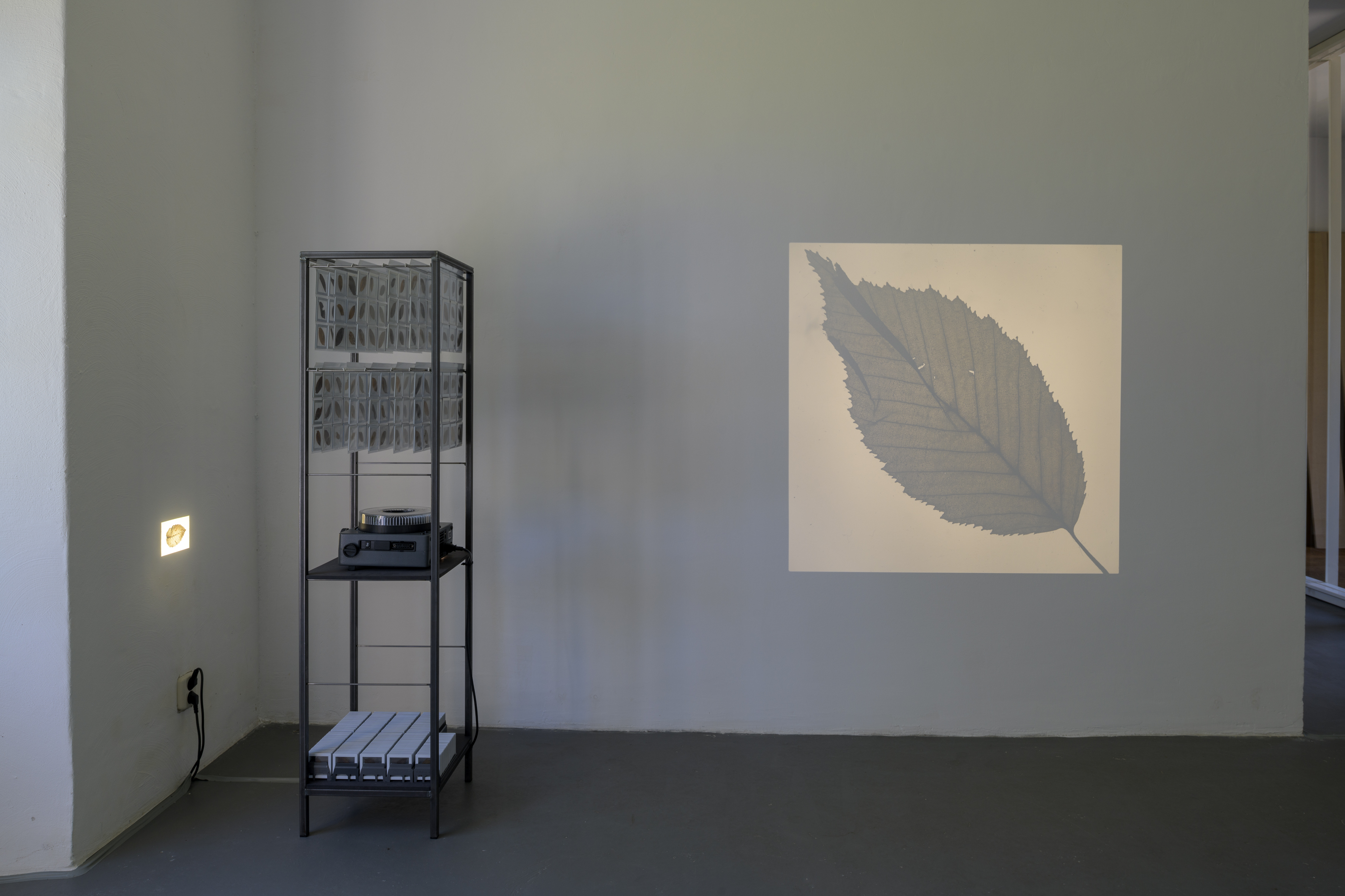 TRACES – KASTEEL WIJLRE, 2018