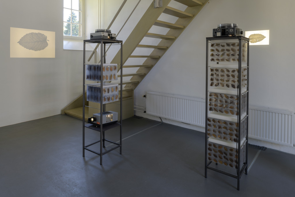 Sanne Vaassen, Traces at Kasteel Wijlre, 2018